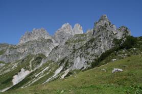 Hora Bischofsmütze