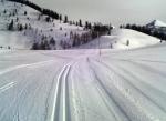 Lammertal